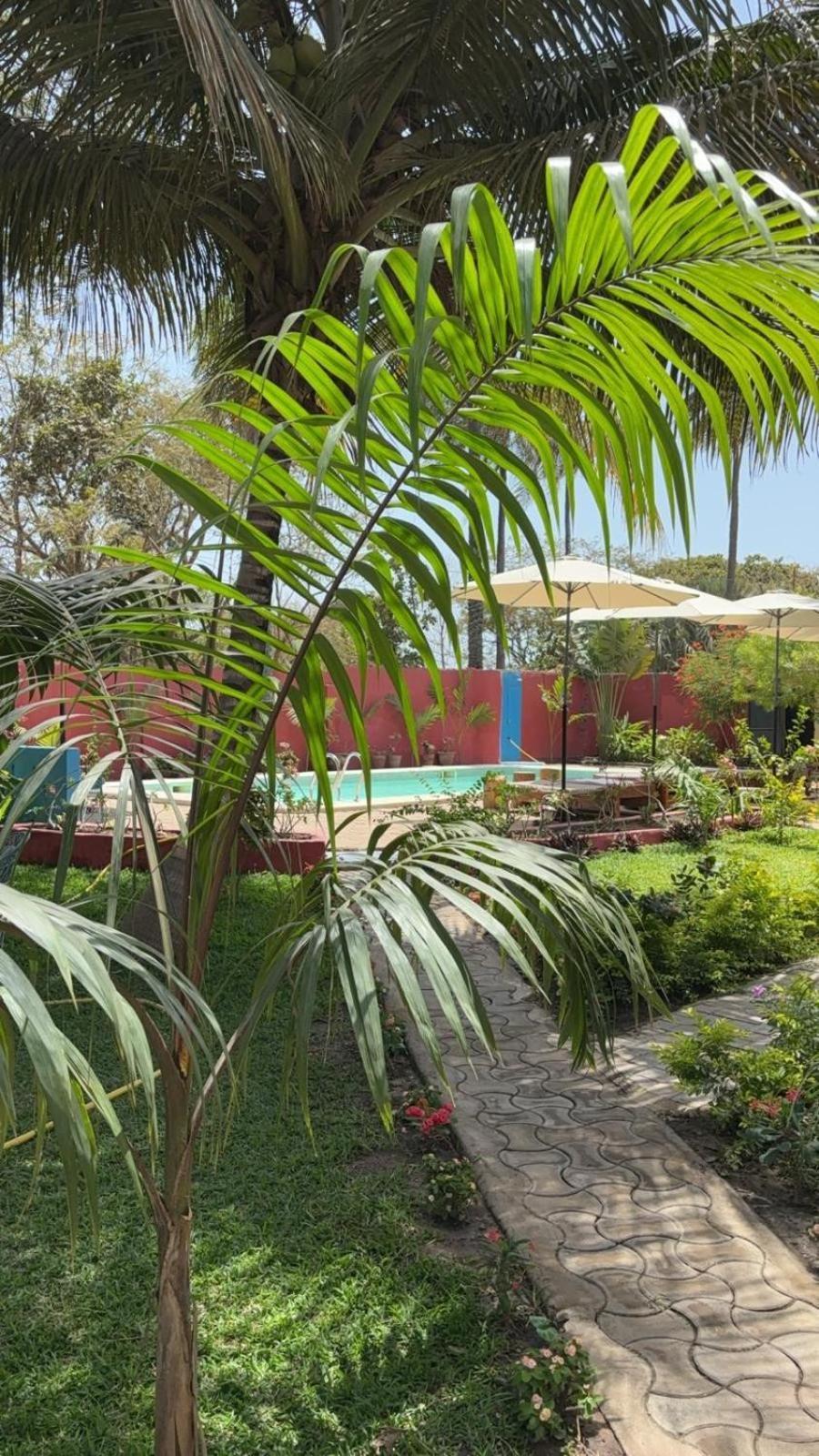 Heda House Bed and Breakfast Sanyang Εξωτερικό φωτογραφία